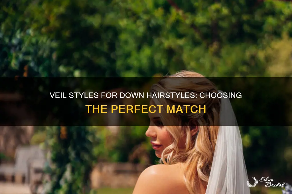 what kind of veil do you wear with hair down