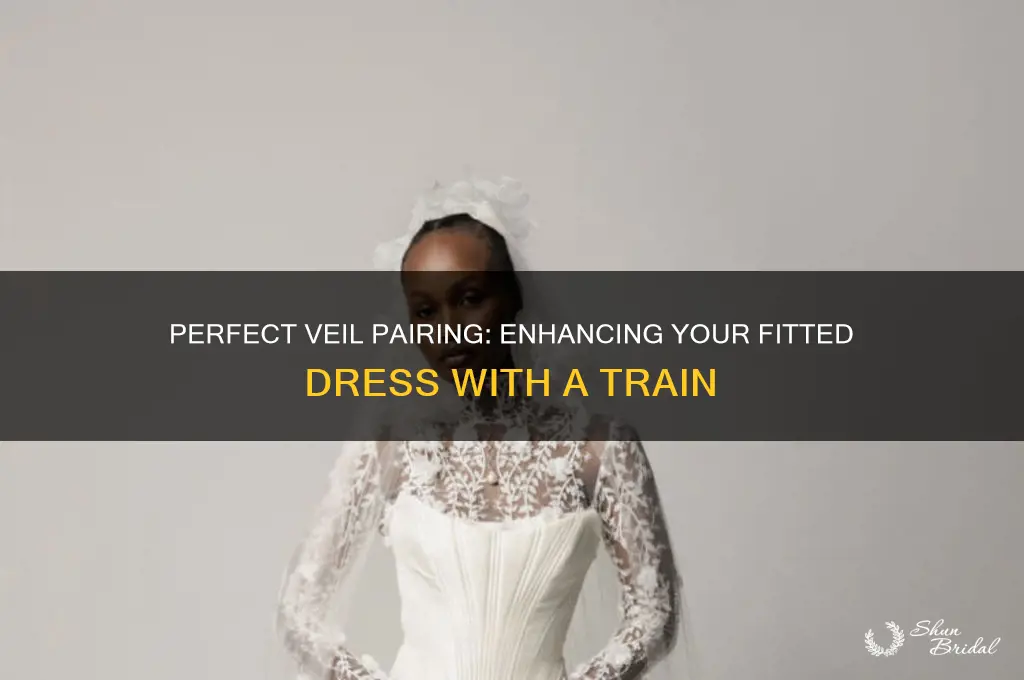 what kind of veil for fitted dress with train