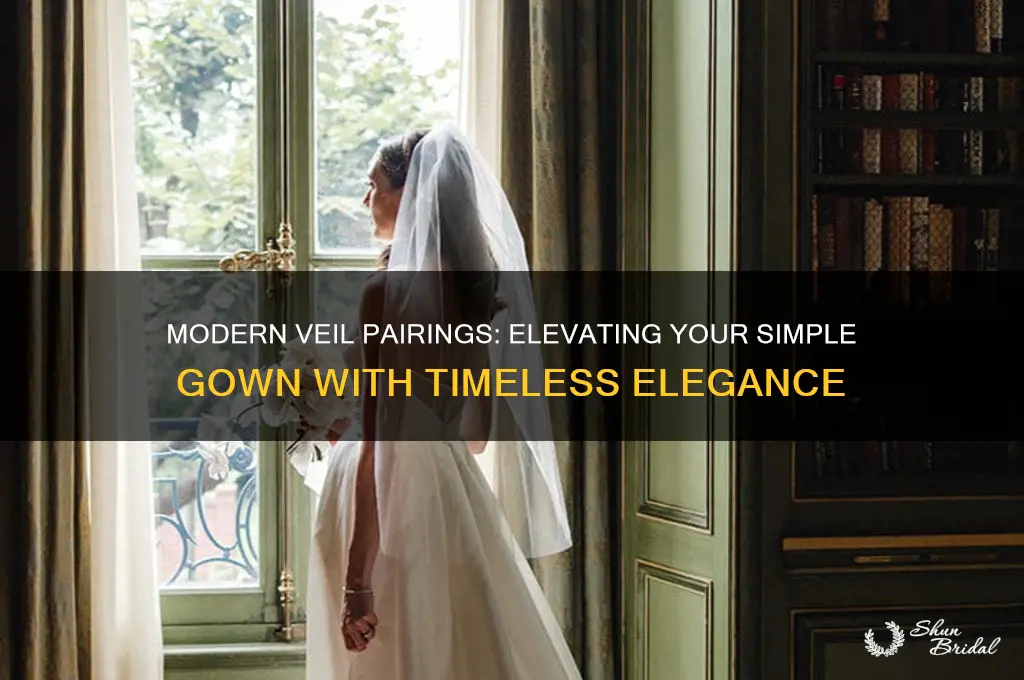 what kind of veil goes with a simple modern gown