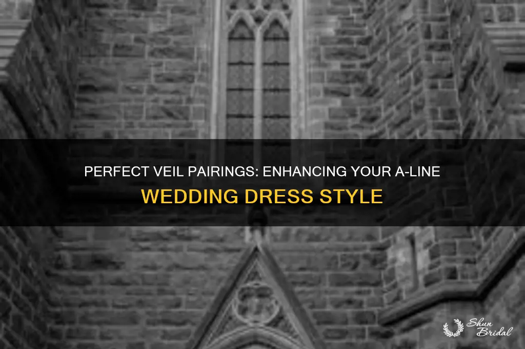 what kind of veil looks best with a aline dress