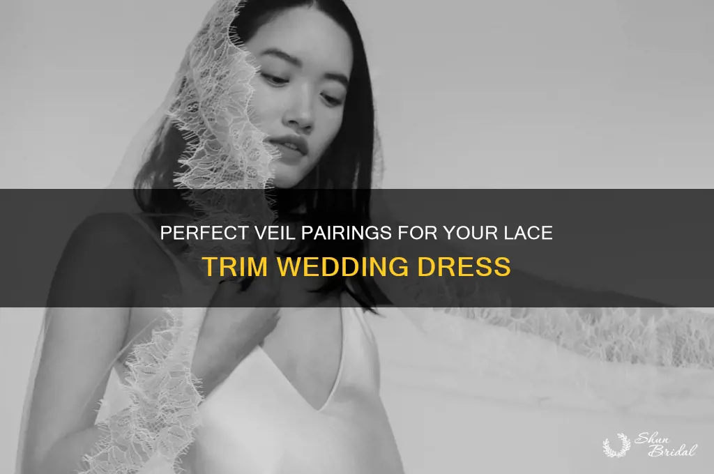 what kind of veil with lace trim dress