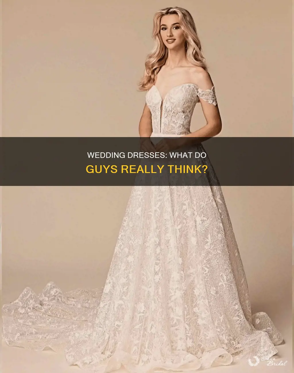 what kind of wedding dress do guys like
