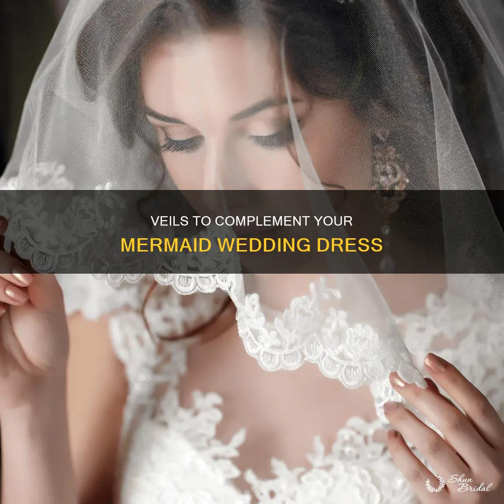 what kind wedding veil for mermaid dress