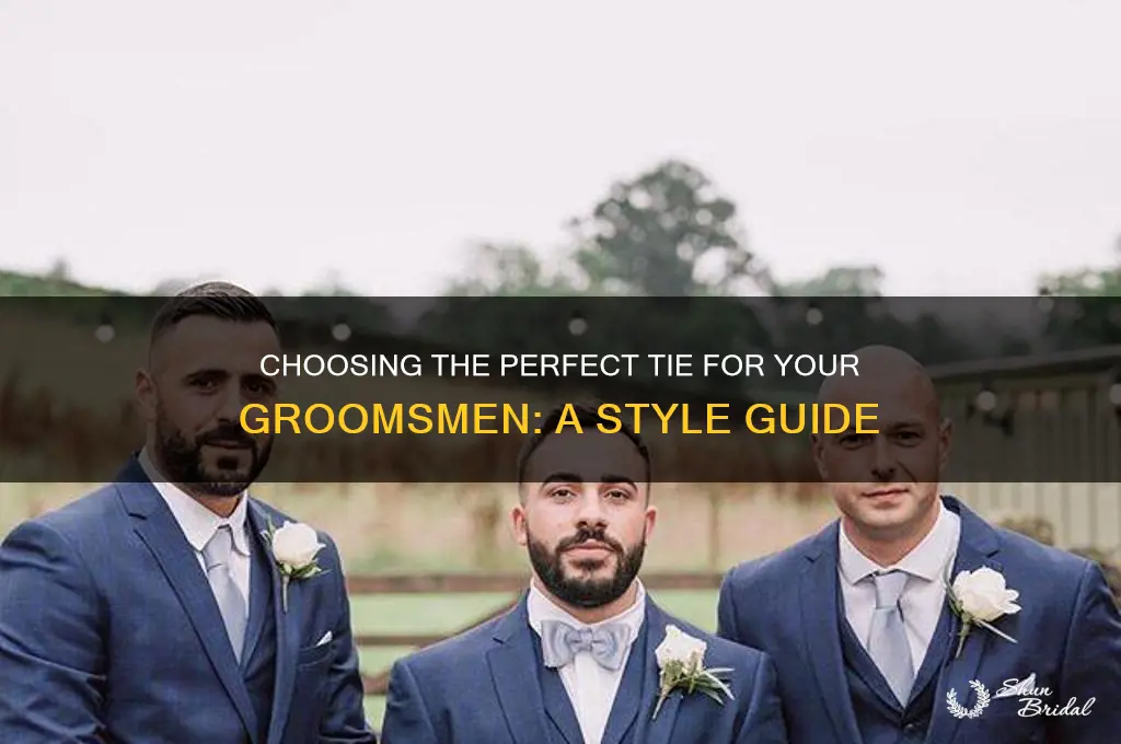 what king of tie should my groomsmen wear