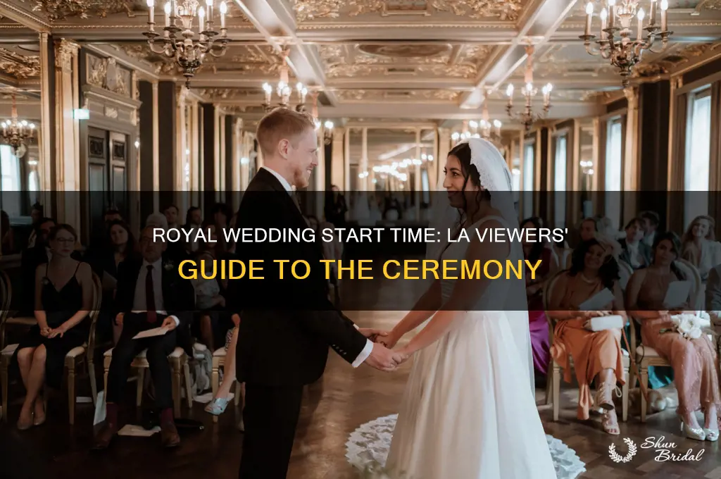 what la time will the royal wedding start