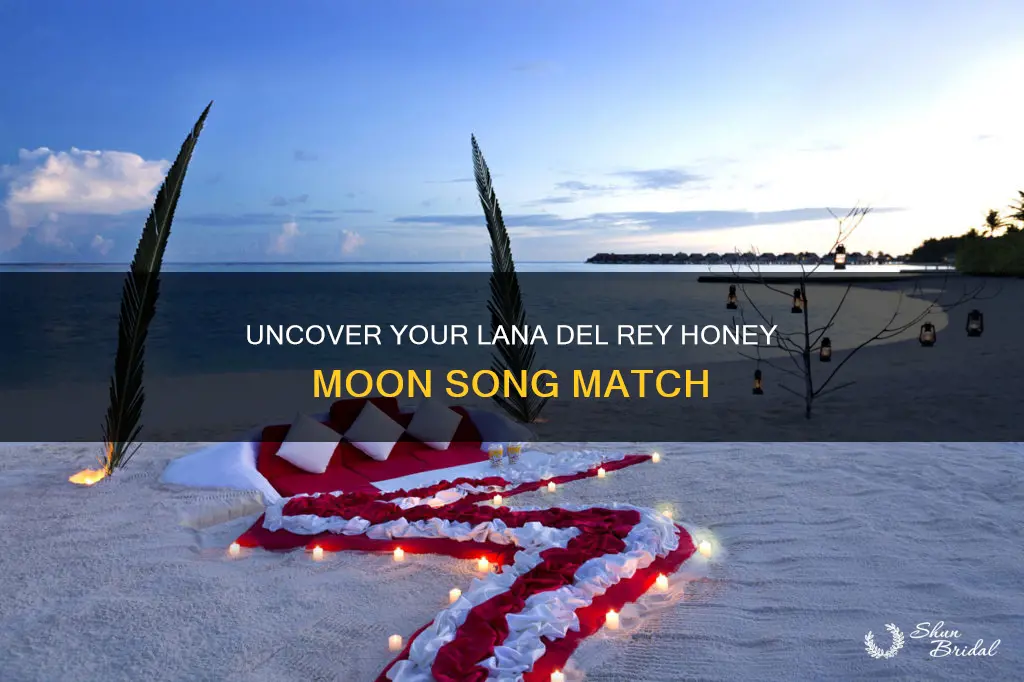 what lana del rey honeymoon song are you