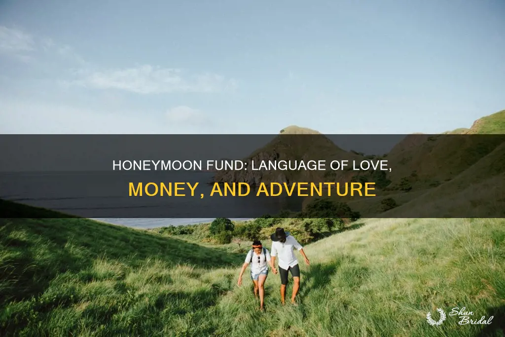 what language can I use on a honeymoon fund