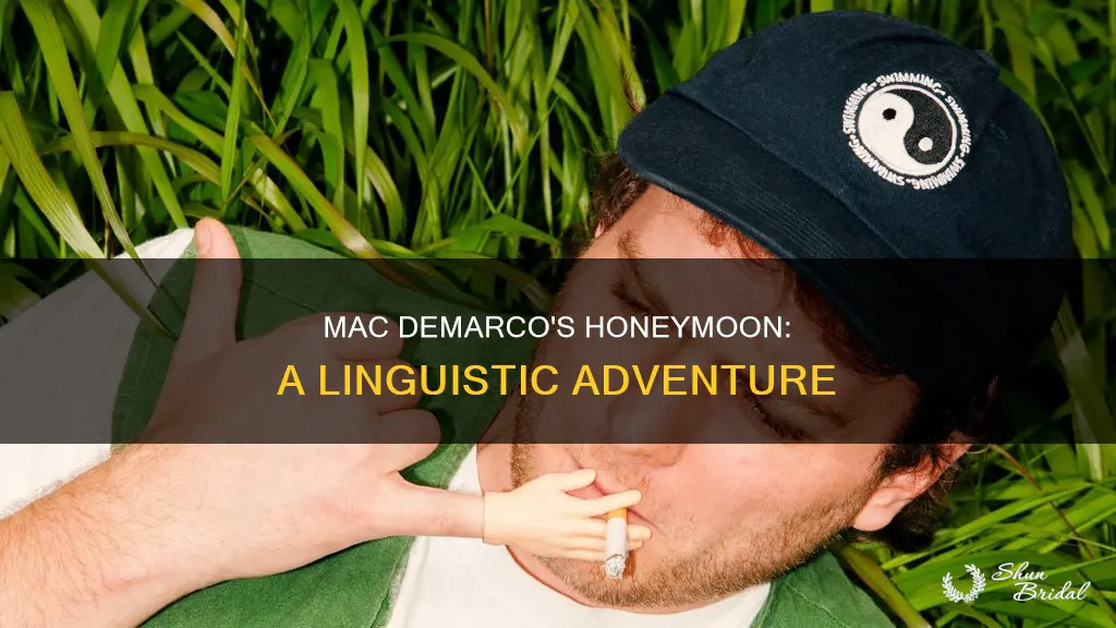 what language is honeymoon by mac demarco in