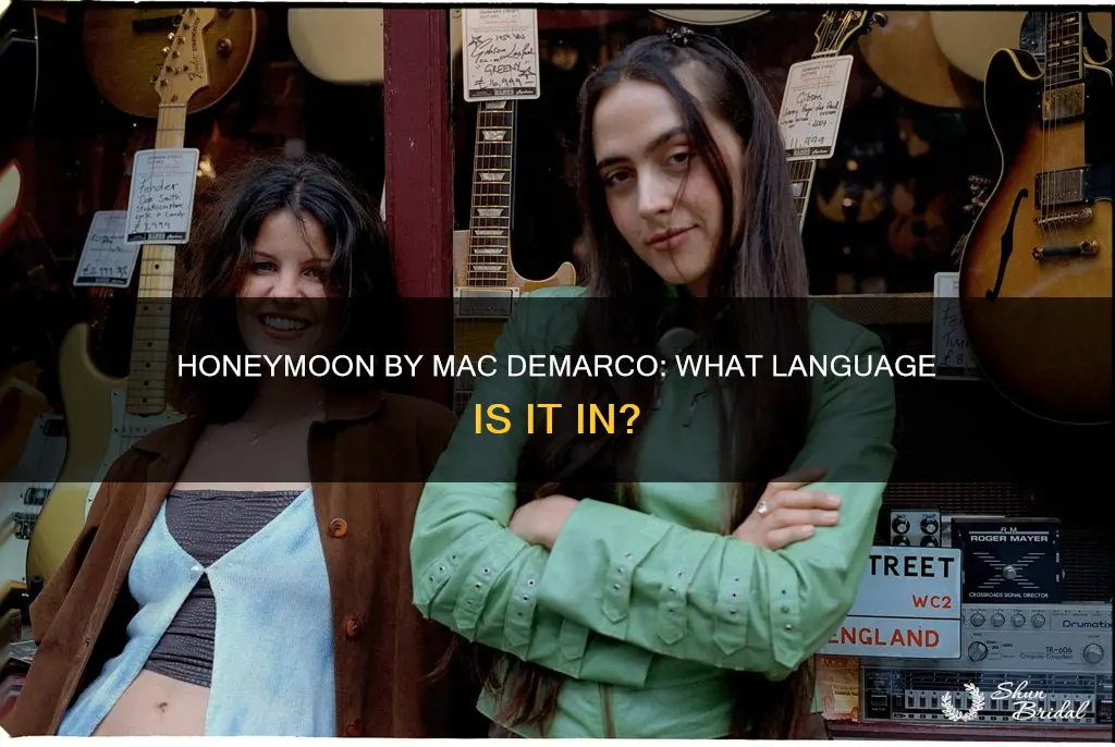 what language is honeymoon by mac demarco in