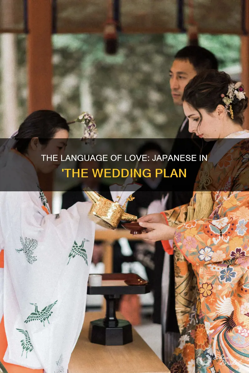what language is spoken in the wedding plan