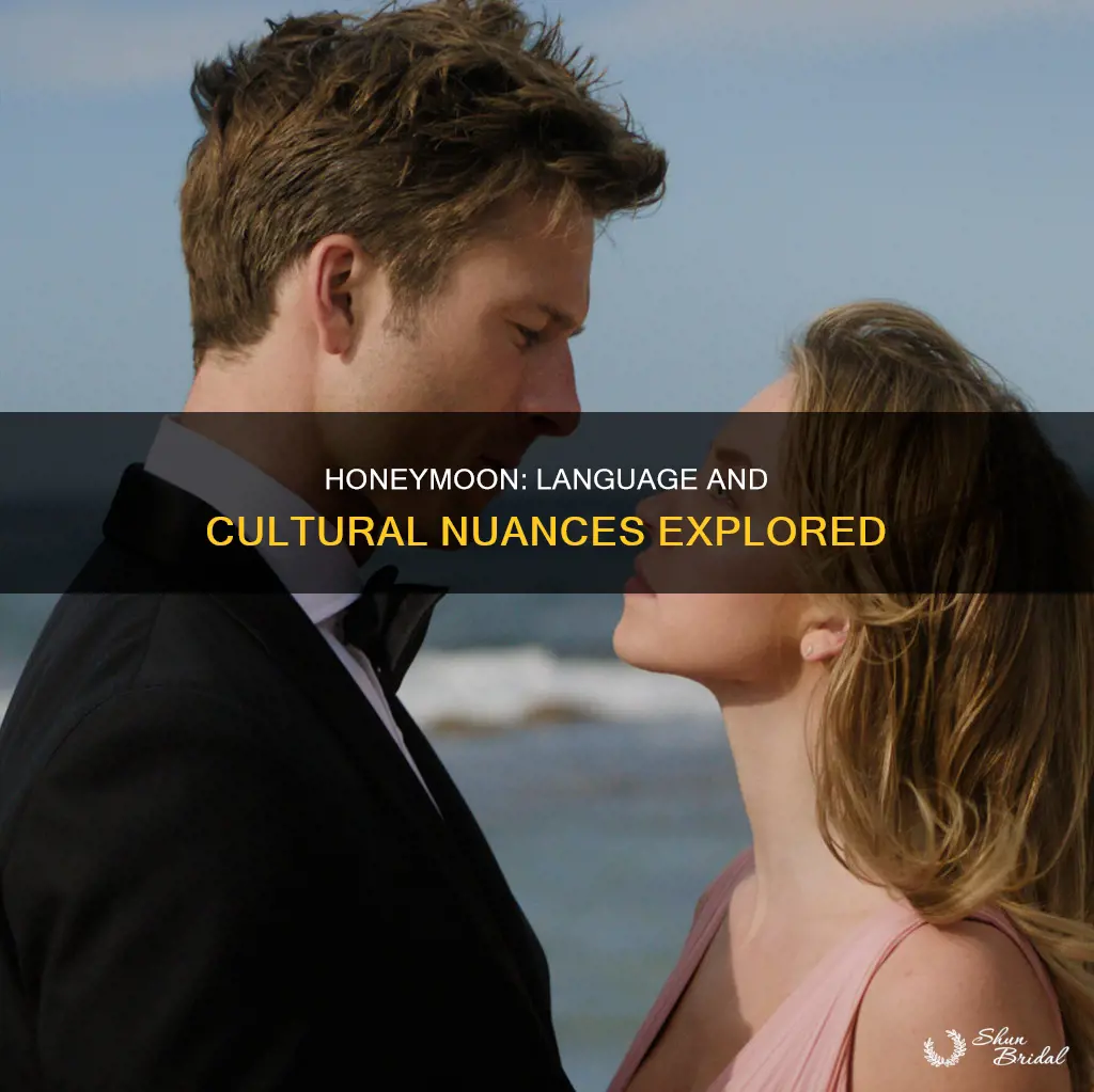 what language is the movie honeymoon in