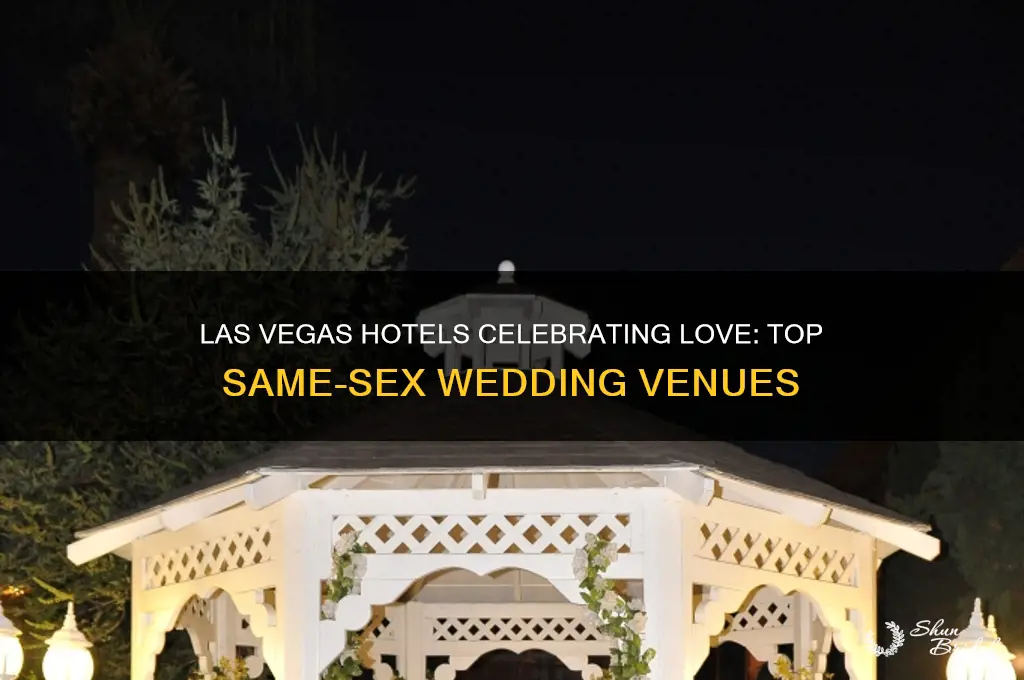 what las vegas hotels perform same-sex wedding ceremonies
