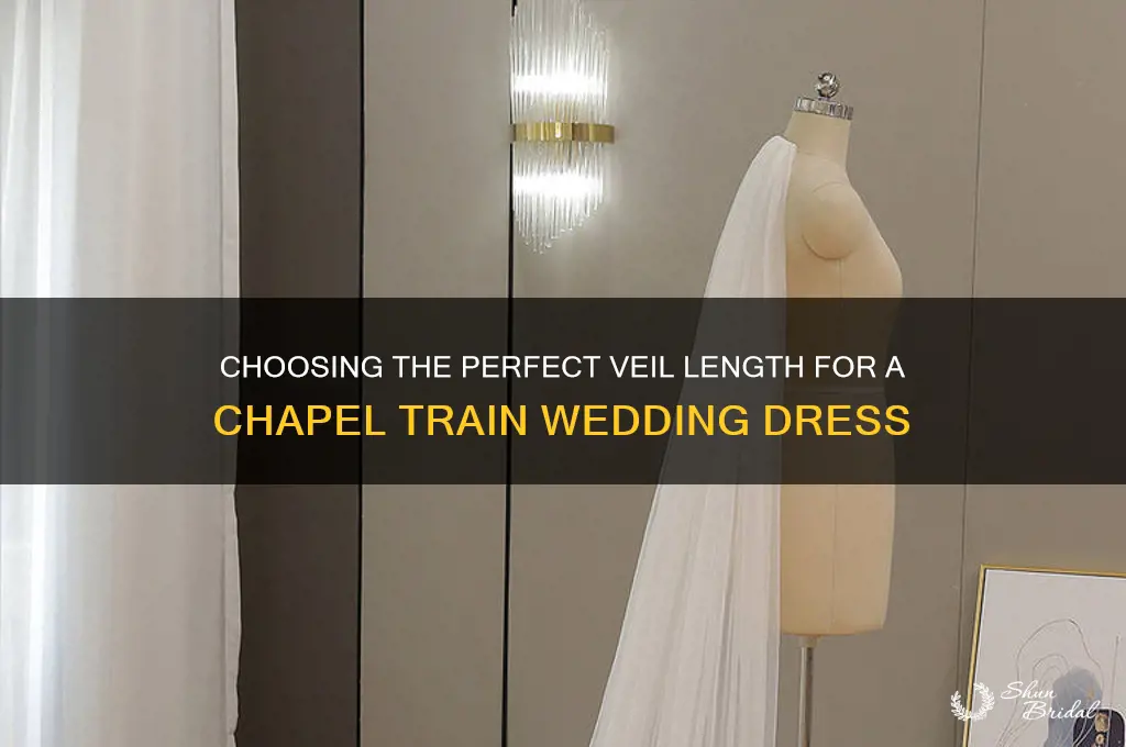 what length veil for a chapel train