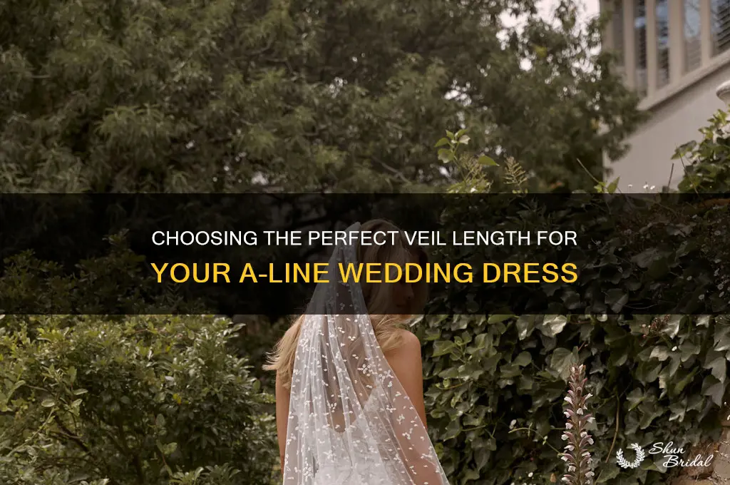 what length veil for a line dress