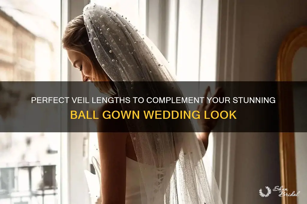 what length veil for ball gown