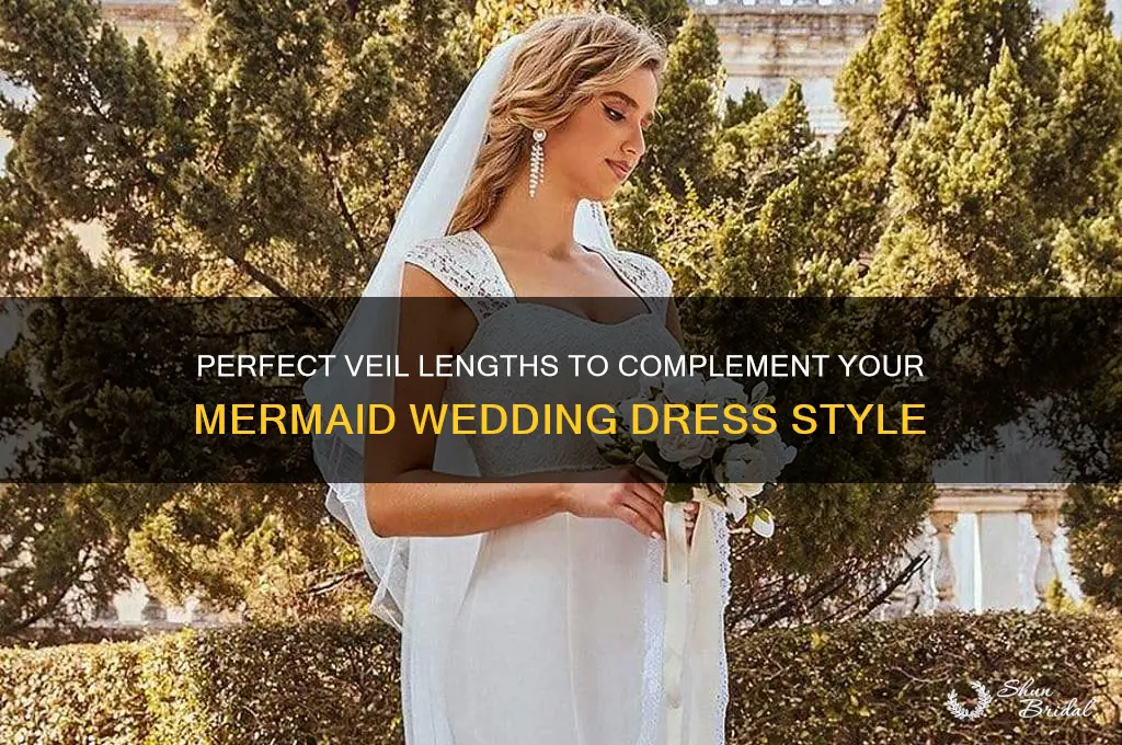 what length veil for mermaid dress