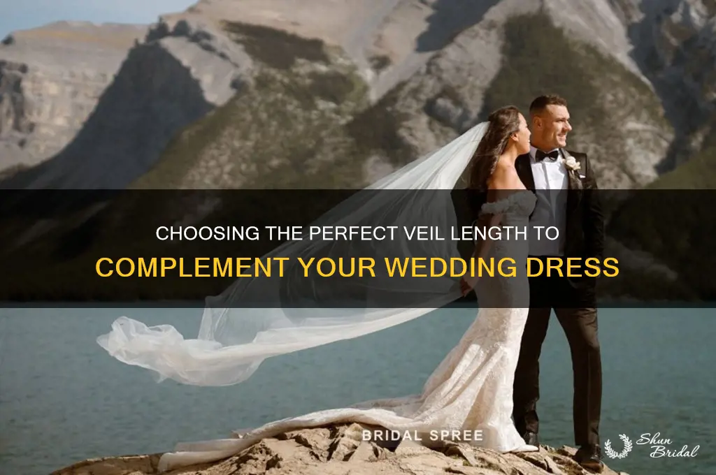 what length veil for my dress