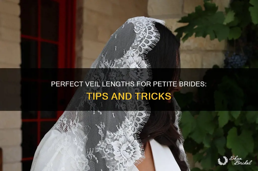 what length veil for petite