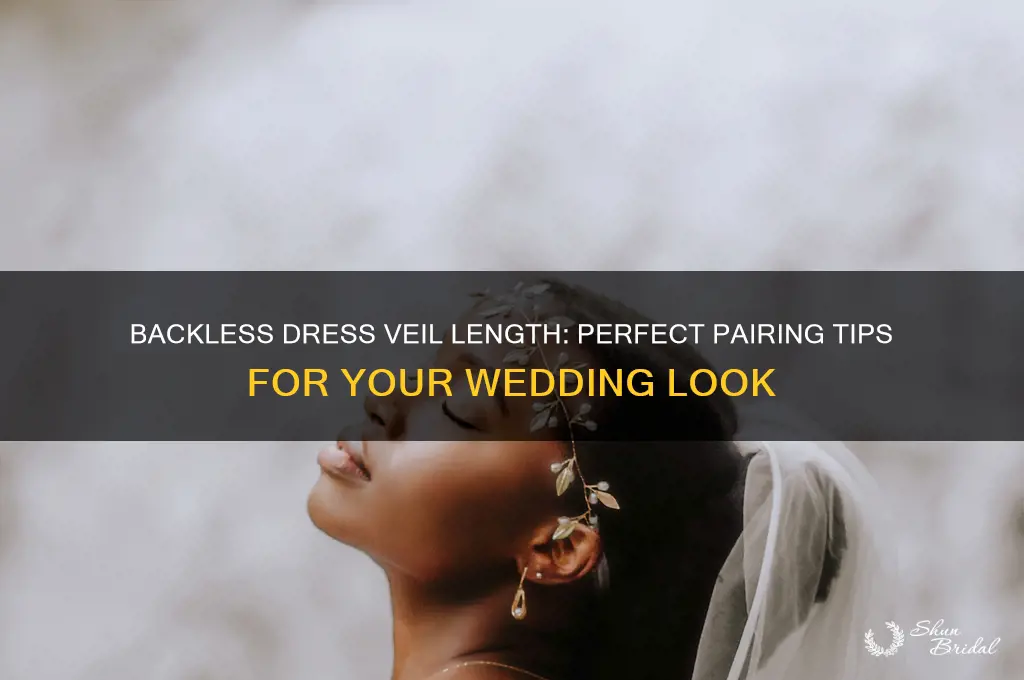 what length veil should you wear with a backless dress