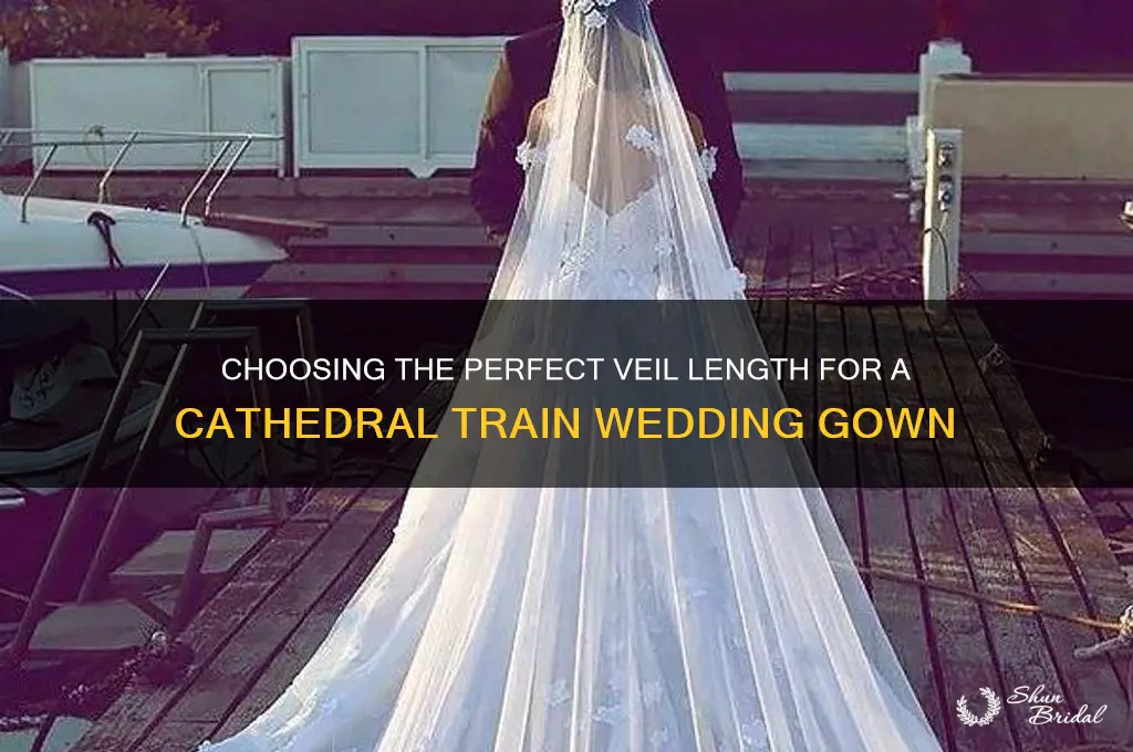 what length veil with cahedral train