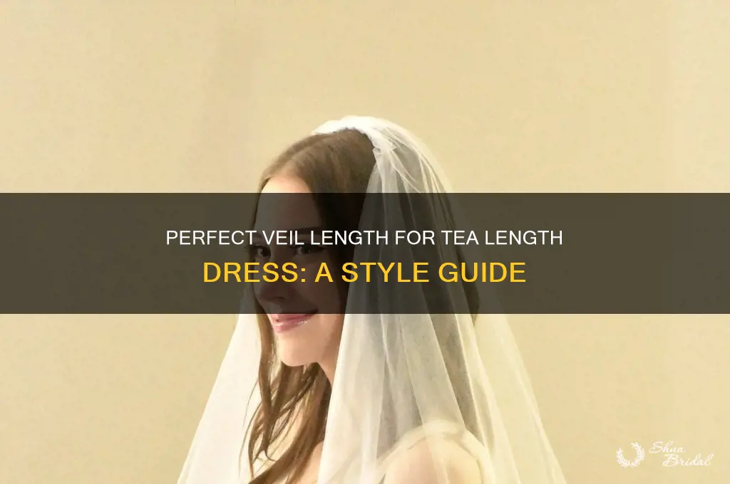 what length veil with tea length dress