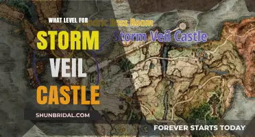 Storm Veil Castle: Ideal Level Guide for Smooth Progression