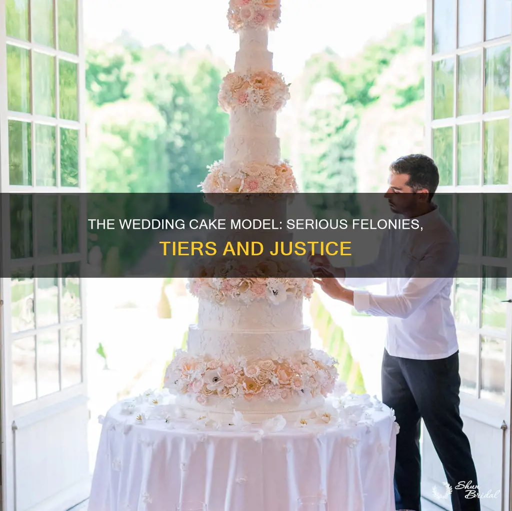 what level in the wedding cake model is serious felonies