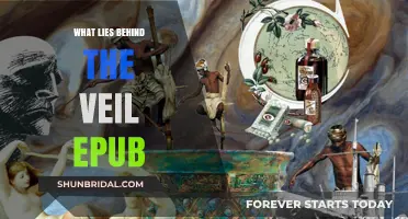 Unveiling Secrets: Exploring the Intrigue of 'What Lies Behind the Veil Epub