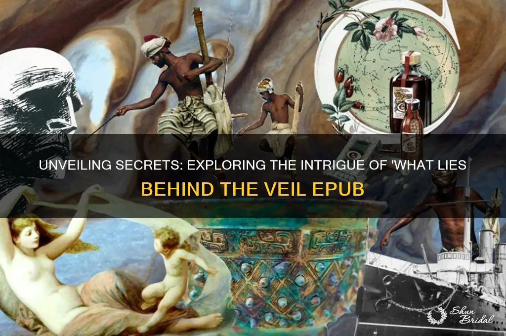 what lies behind the veil epub