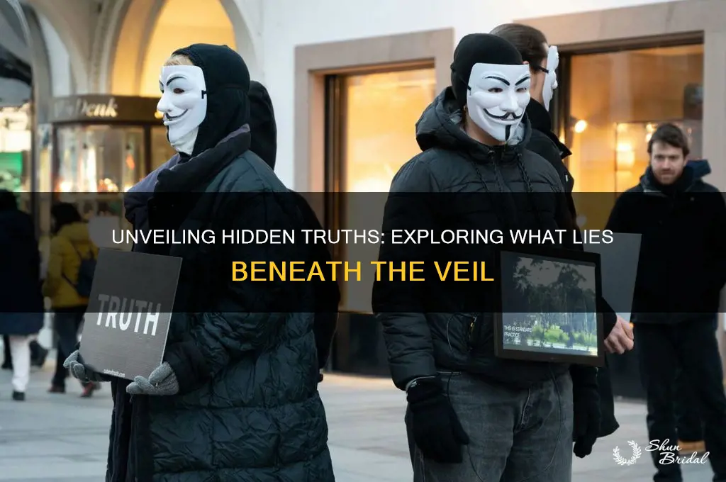 what lies beneath the veil