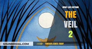 Unveiling the Mysteries: Exploring What Lies Beyond the Veil 2
