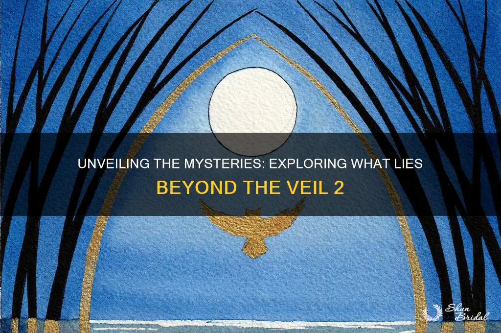 what lies beyond the veil 2