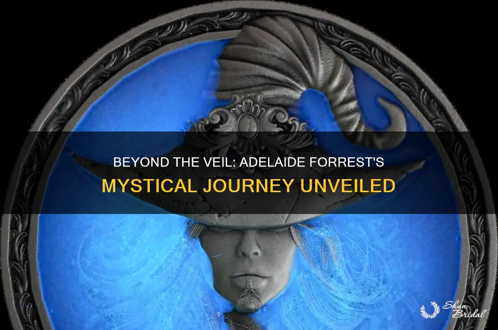 what lies beyond the veil adelaide forrest