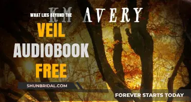 Uncover the Secrets: What Lies Beyond the Veil Audiobook Free