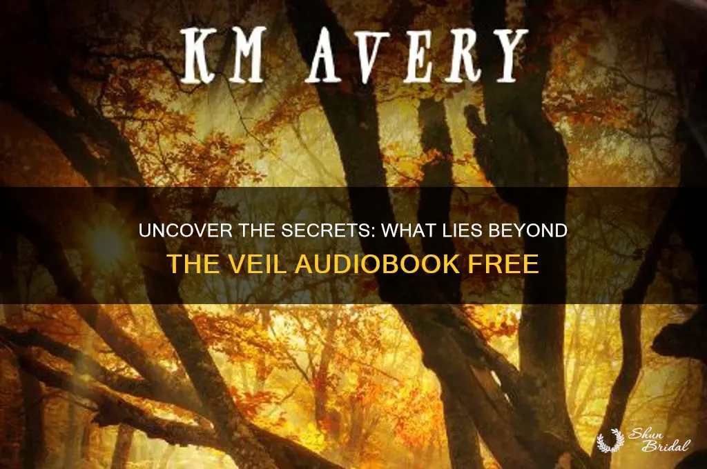 what lies beyond the veil audiobook free