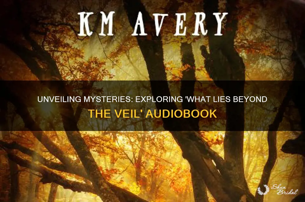 what lies beyond the veil audiobook