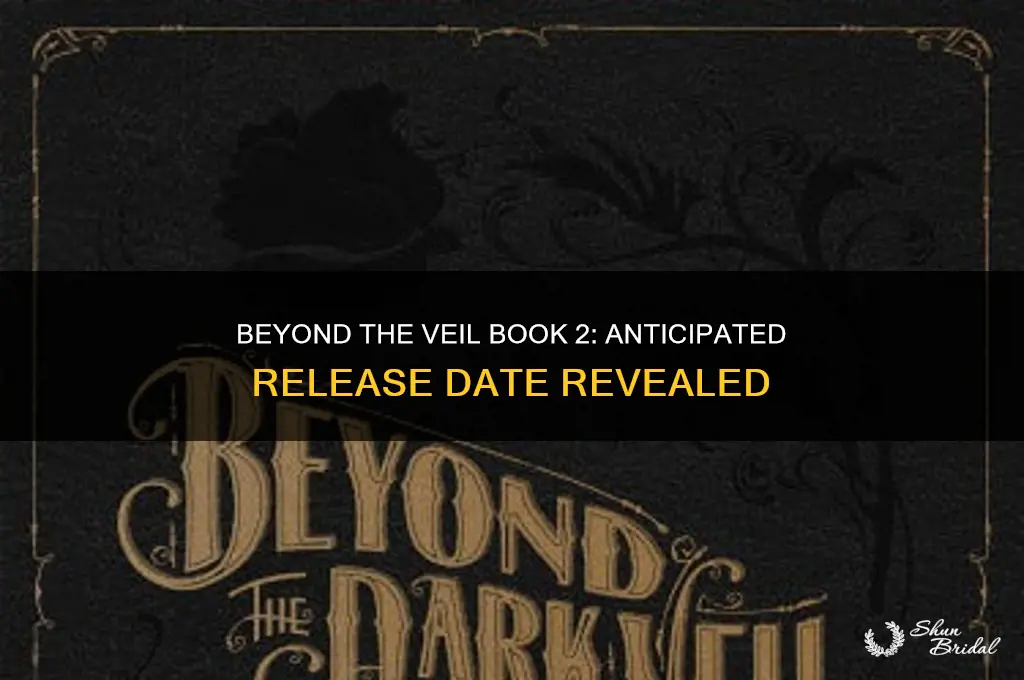 what lies beyond the veil book 2 release date
