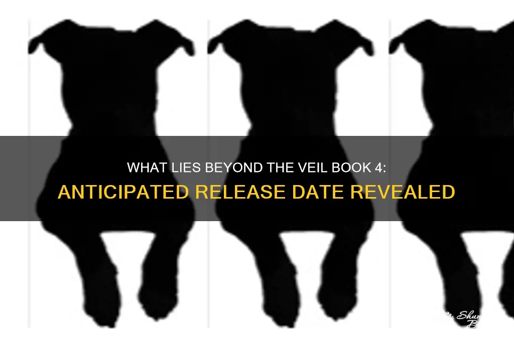 what lies beyond the veil book 4 release date