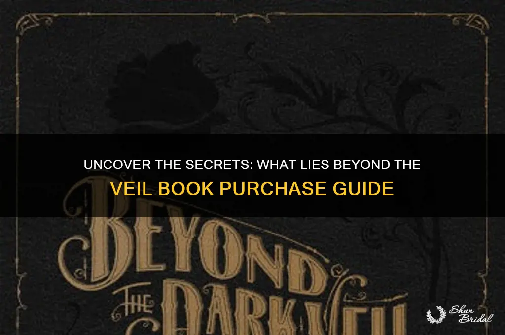 what lies beyond the veil book buy