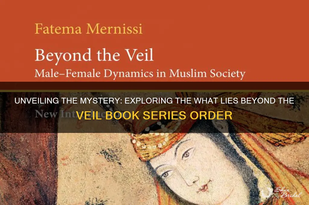 what lies beyond the veil book order
