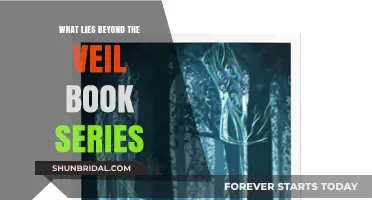 Exploring the Mystical Realms of the Beyond the Veil Series