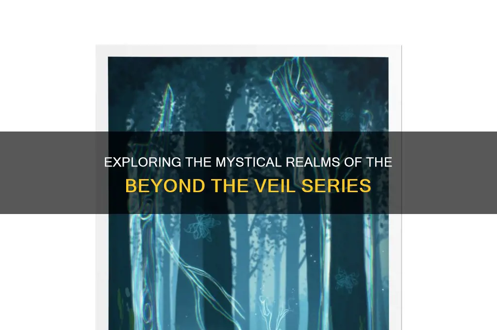 what lies beyond the veil book series