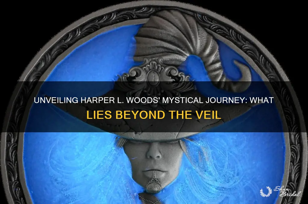 what lies beyond the veil by harper l woods