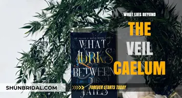 Unveiling the Mysteries: Exploring What Lies Beyond the Veil Caelum
