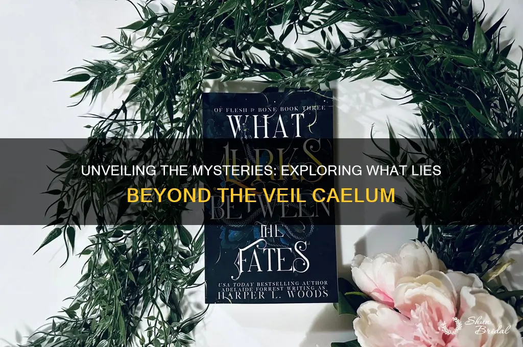 what lies beyond the veil caelum