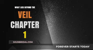Unveiling Mysteries: Exploring the Unknown in Chapter 1 Beyond the Veil