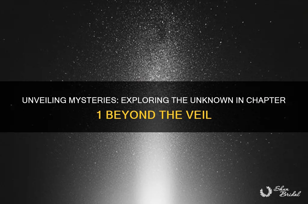 what lies beyond the veil chapter 1