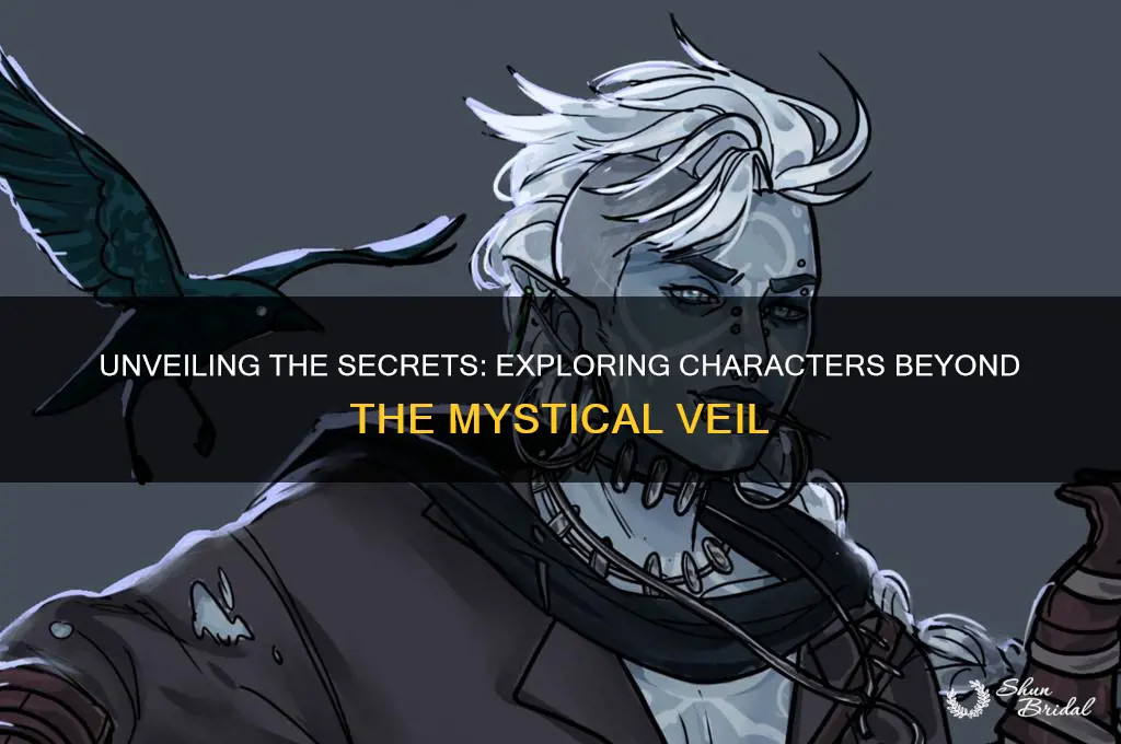 what lies beyond the veil characters