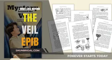 Unveiling the Mysteries: Exploring What Lies Beyond the Veil EPIB