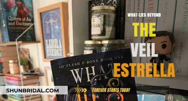 Unveiling the Mysteries: Exploring What Lies Beyond the Veil Estrella